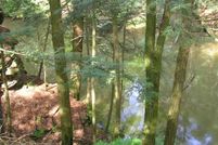 Undeveloped Land in Sauk County, Wisconsin