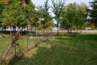 Undeveloped Land in Stearns County, Minnesota