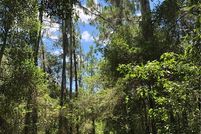 Undeveloped Land in Hardee County, Florida