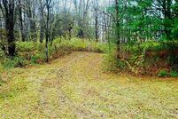 Undeveloped Land in Osceola County, Michigan