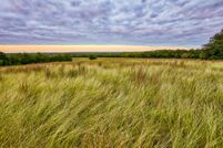 Undeveloped Land in Washington County, Texas