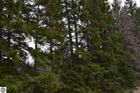 Undeveloped Land in Wexford County, Michigan