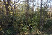 Undeveloped Land in Harrison County, Texas