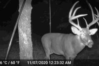 Recreational Property in Montague County, Texas