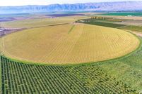 Farm and Ranch in Grant County, Washington