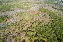 Undeveloped Land in Kershaw County, South Carolina