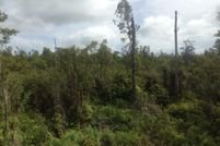 Undeveloped Land in Hawaii County, Hawaii