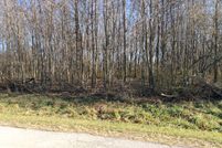 Undeveloped Land in Carroll County, Illinois
