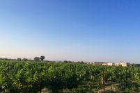 Land in Dona Ana County, New Mexico