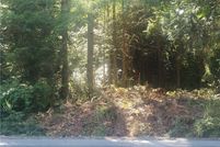 Undeveloped Land in Pierce County, Washington