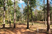 Homesite in Walton County, Florida
