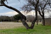 Undeveloped Land in Stephens County, Texas