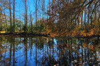 Undeveloped Land in Leon County, Texas