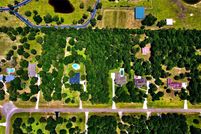 Undeveloped Land in Montgomery County, Texas