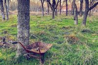 Farm and Ranch in Parker County, Texas