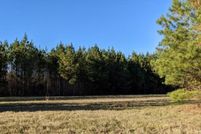 Undeveloped Land in Copiah County, Mississippi
