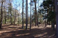 Undeveloped Land in Marion County, Texas