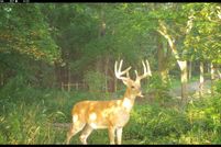 Land in Vermillion County, Indiana