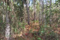 Land in Lamar County, Mississippi