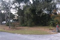 Undeveloped Land in Marion County, Florida