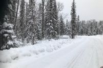 Undeveloped Land in Matanuska-Susitna Borough, Alaska