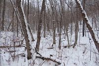 Undeveloped Land in Vernon County, Wisconsin
