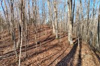 Undeveloped Land in Taylor County, Kentucky