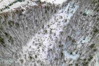 Undeveloped Land in Oconto County, Wisconsin