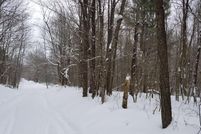 Commercial Property in Otsego County, New York