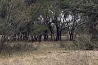 Land in Stephens County, Texas