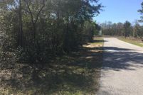 Undeveloped Land in Citrus County, Florida