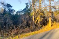 Undeveloped Land in Berkeley County, South Carolina