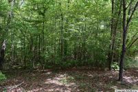 Land for sale in Etowah County, Alabama