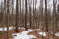 Timberland Property in Madison County, New York