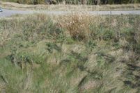 Land in Winona County, Minnesota