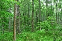 Land in Culpeper County, Virginia