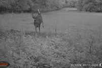 Land in Dunn County, Wisconsin