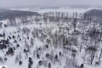 Undeveloped Land in Benzie County, Michigan