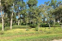 Undeveloped Land in Brazoria County, Texas