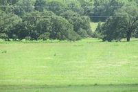 Undeveloped Land in Fayette County, Texas