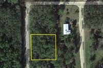 Undeveloped Land in Putnam County, Florida
