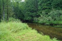Undeveloped Land in Mecosta County, Michigan
