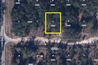 Undeveloped Land in Putnam County, Florida