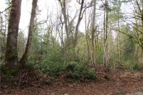 Undeveloped Land in Pierce County, Washington