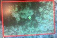 Undeveloped Land in Osceola County, Florida