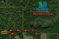 Timberland Property in Amite County, Mississippi