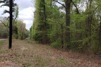 Timberland Property in Titus County, Texas