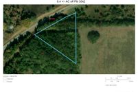 Undeveloped Land in Camp County, Texas