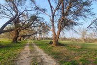 Undeveloped Land in Beauregard Parish, Louisiana