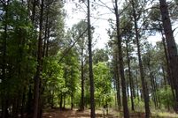 Land in Marion County, Texas